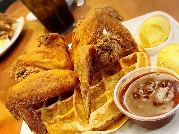 đá gà mỹ trực tiếp hôm nay