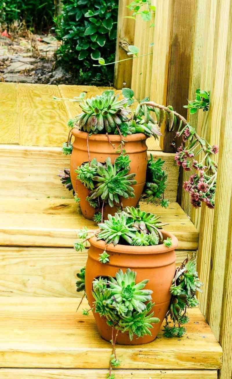 đá gà trực tiếp ngày 26 tháng 11
