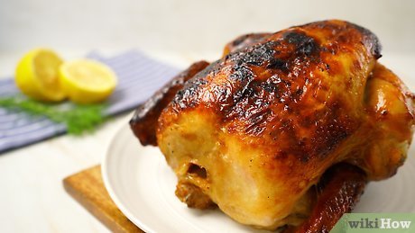 đá gà peru ở việt nam đá gà peru ở việt nam