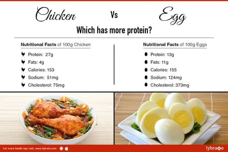 đá gà thomo trực tiếp hôm qua,Đá gà Thomo trực tiếp hôm qua: Thứ hai, Những chi tiết độ c giới thiệu đá gà thomo trực tiếp hôm qua,Đá gà Thomo trực tiếp hôm qua: Thứ hai, Những chi tiết độ c giới thiệu