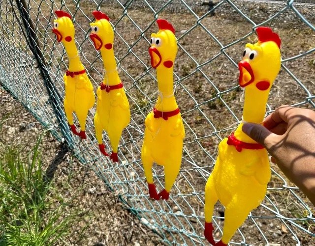 xem ngày giờ gà đá xem ngày giờ gà đá