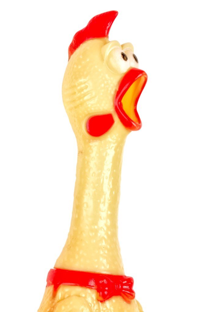 dân đá gà dân đá gà