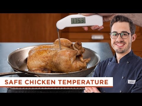 cách tập thể lực cho gà đá cựa sắt cách tập thể lực cho gà đá cựa sắt